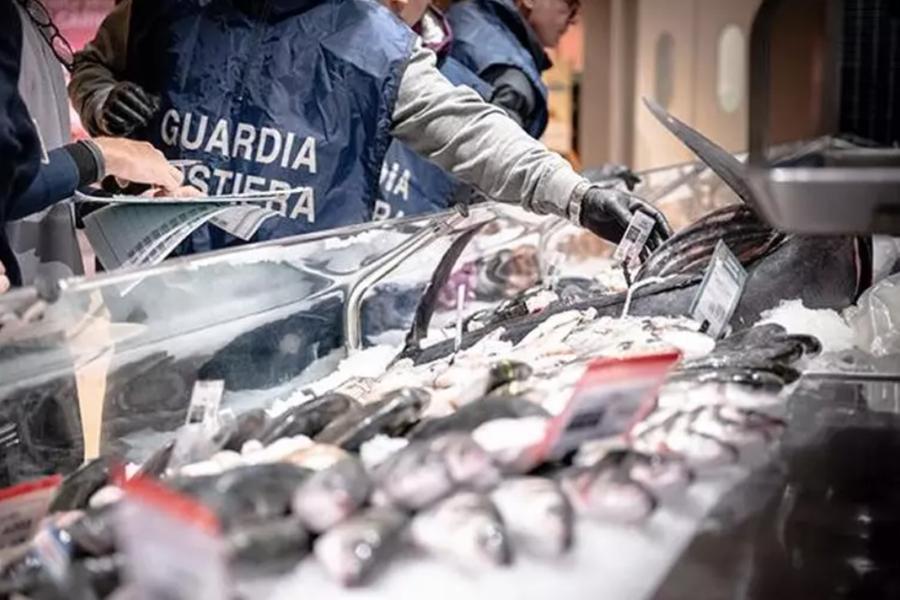 Pesce surgelato “spacciato” per fresco e prodotti ittici privi di tracciabilità: multe per 12mila euro nell'Oristanese