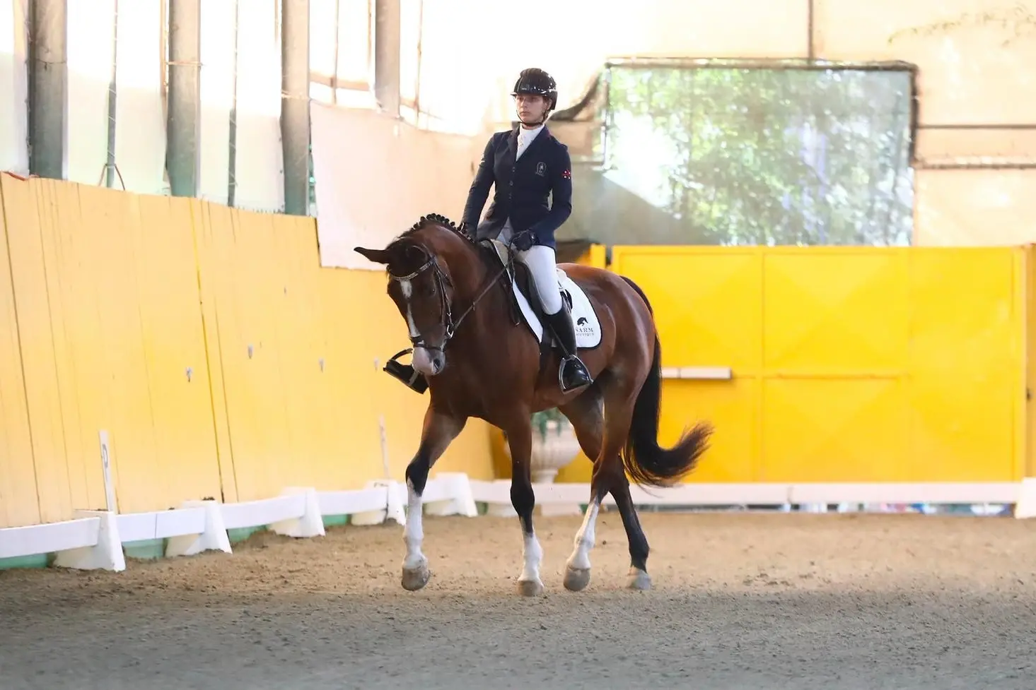 Un momento della Coppa delle Regioni di Dressage a Cervia
