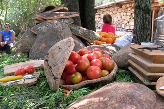 Pranzo in agriturismo (Ansa)