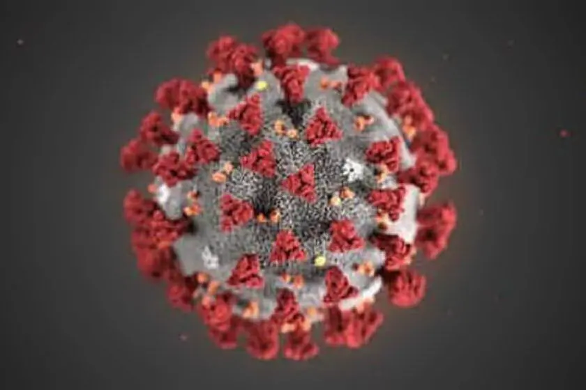 Un'immagine in 3D del virus Covid-19 (Archivio L'Unione Sarda)