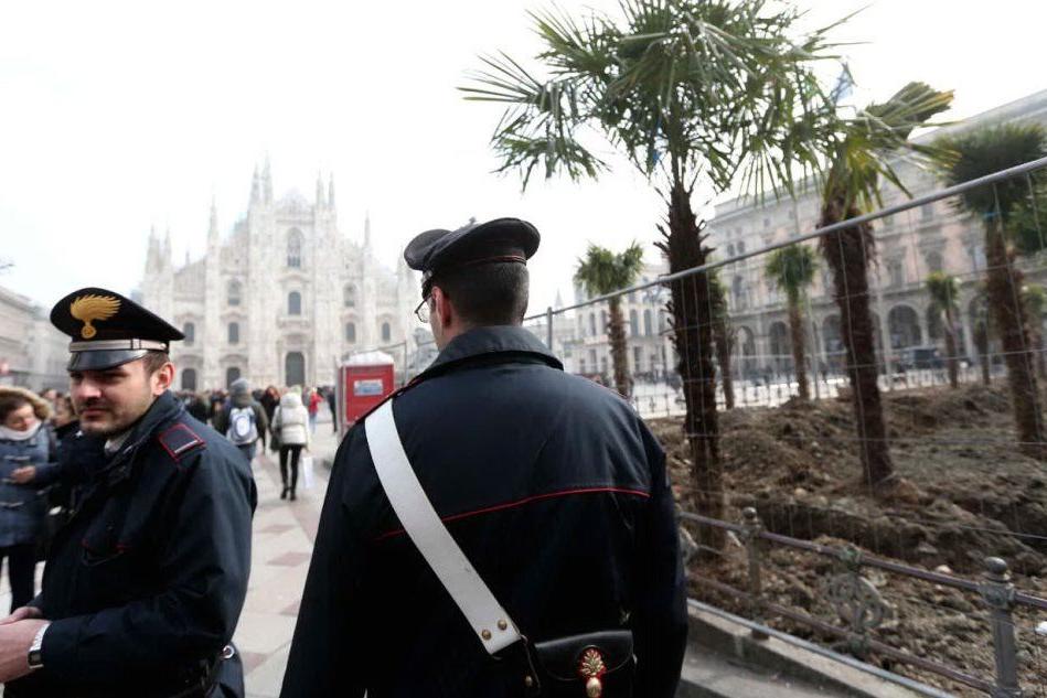 Milano, palme bruciate in piazza Duomo: individuati piromani