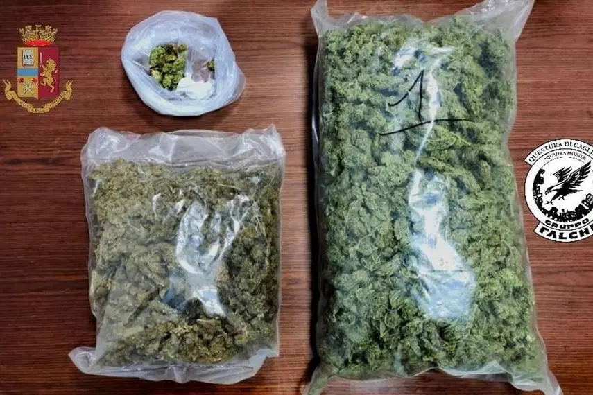 La marijuana sequestrata (Foto Polizia)