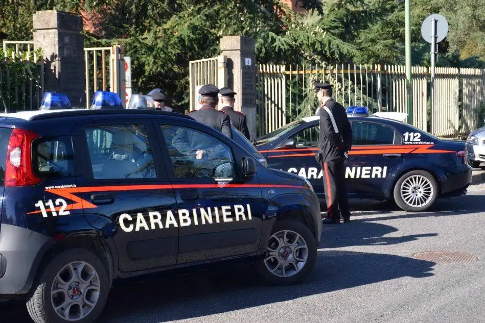 I carabinieri (foto archivio Ansa)