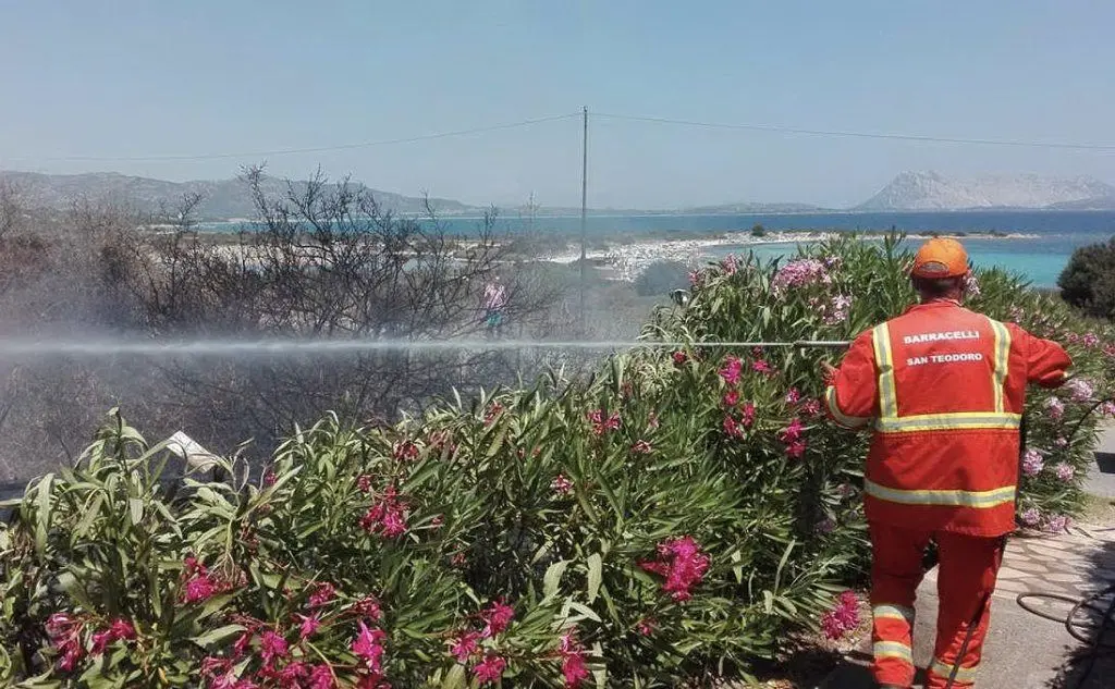 Un incendio si è sviluppato a San Teodoro, le immagini del nostro lettore Manuel Manueddu