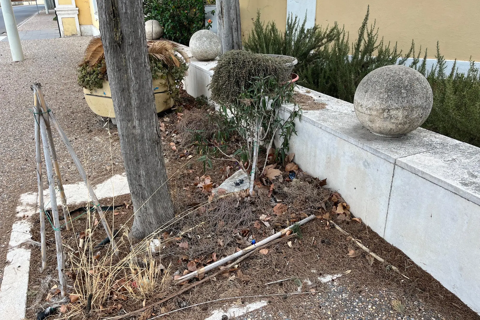 Degrado al cimitero di Cabras (foto Sara Pinna)