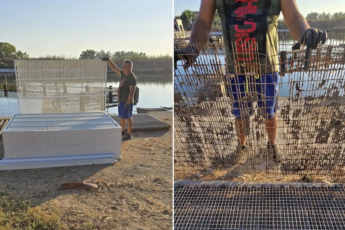 I pescatori sostituiscono le griglie