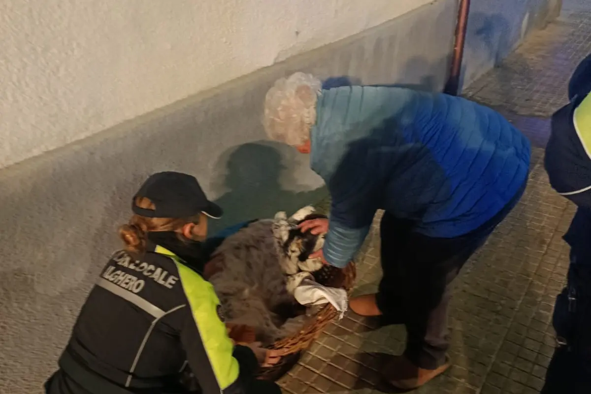 La signora con il suo cagnolino e una agente della polizia locale (foto concessa)