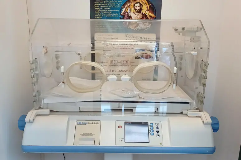 Culla termica (foto Ansa)