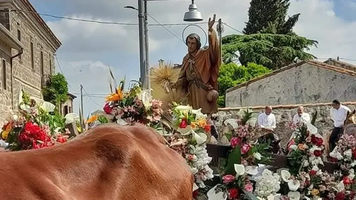 https://immagini.unionesarda.it/version/c:MWNjNDYzODgtNWY0ZS00:YTJjMzcyOTAtYjMzZS00/image.webp?f=16:9