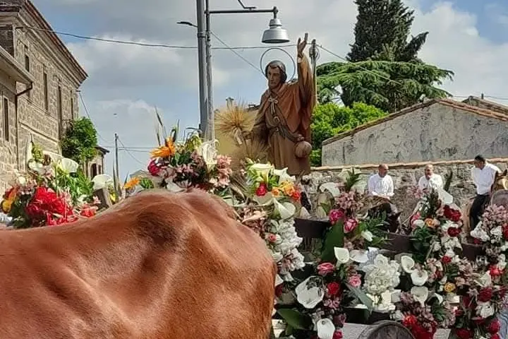 Sant'Isidoro a Sedilo