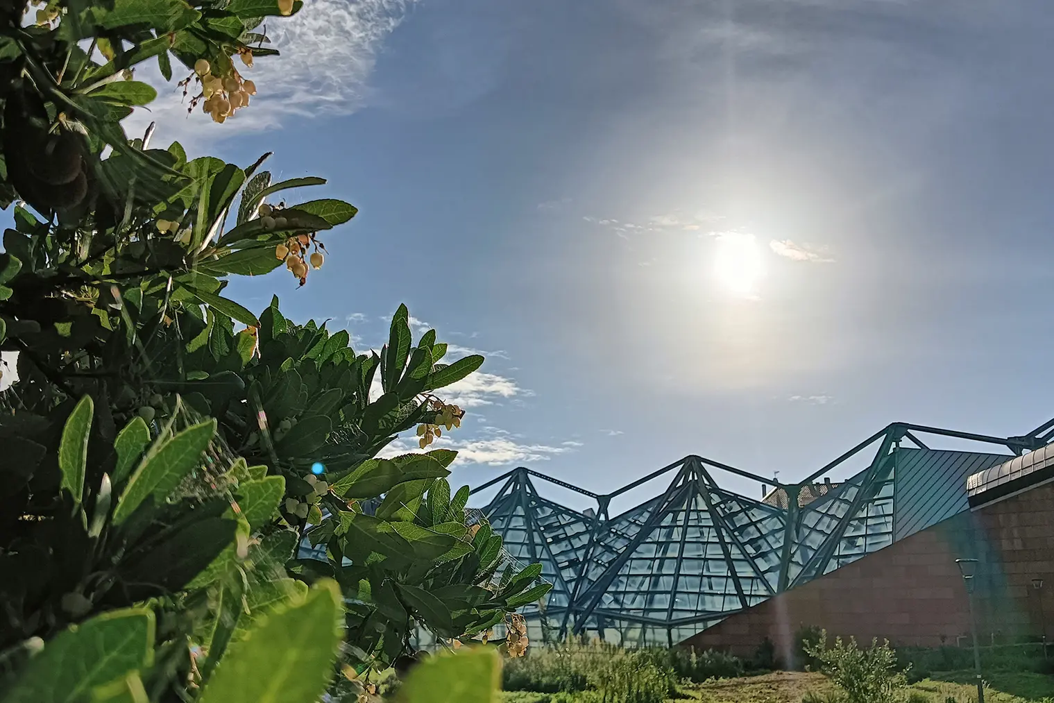 L'Orto Botanico di Sassari (foto concessa)