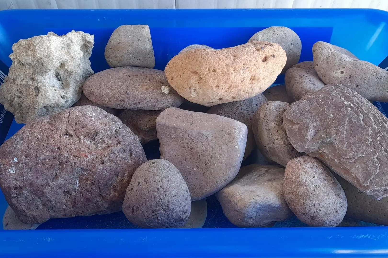 Le pietre sequestrate (foto AdSP)