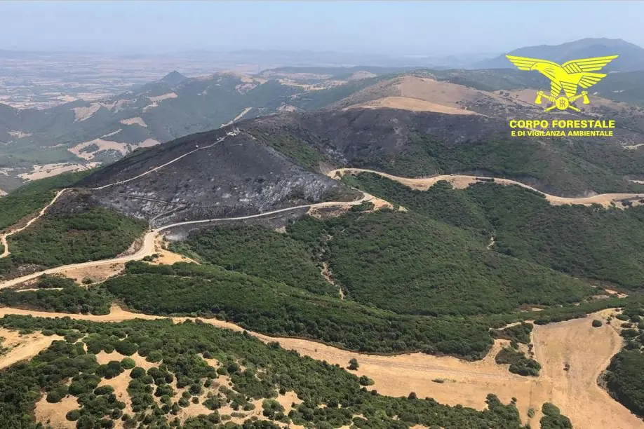 L'area percorsa dal fuoco a Villamassargia (foto Corpo forestale)