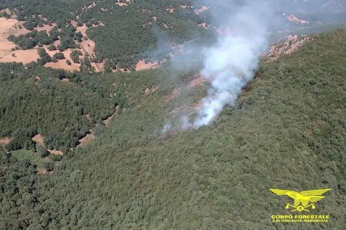 L'incendio di Sorgono (foto Corpo forestale)