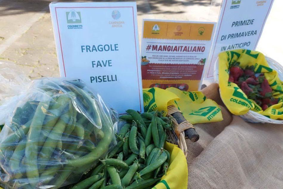 &quot;Inverno anomalo&quot;: in Sardegna fave, spinaci, piselli e fragole sono già al mercato