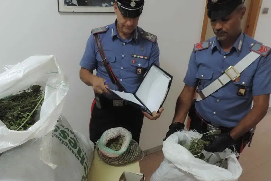La droga sequestrata (foto carabinieri)