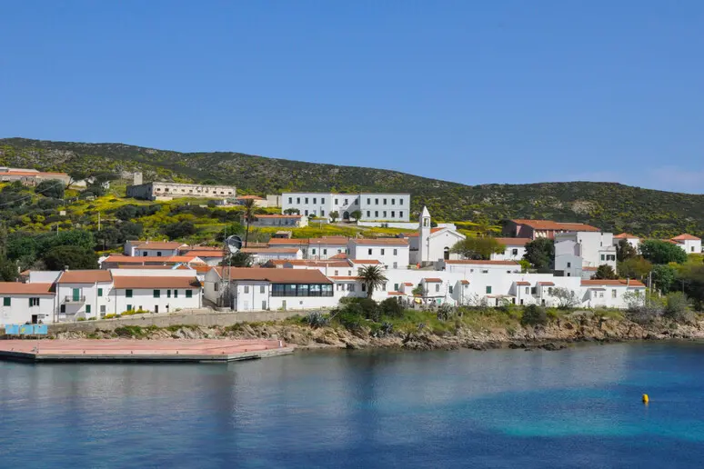 Asinara (foto Ansa)