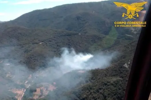 L'incendio a Tiana (foto Corpo forestale)