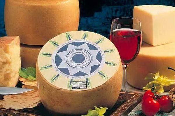 Turismo, formaggio e vino della Sardegna al centro di un progetto di Legacoop