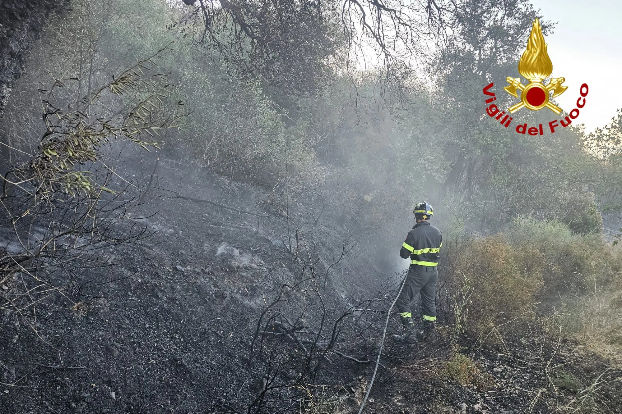 L'incendio ad Arzana (foto Vigili del fuoco)