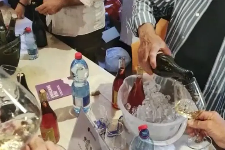 Vite e Vite, incontro con i vignaioli
