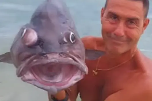 Vannacci e la cernia (foto da frame video)