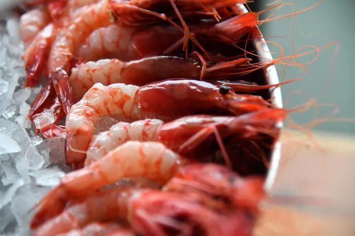 Gamberi crudi (foto Ansa)