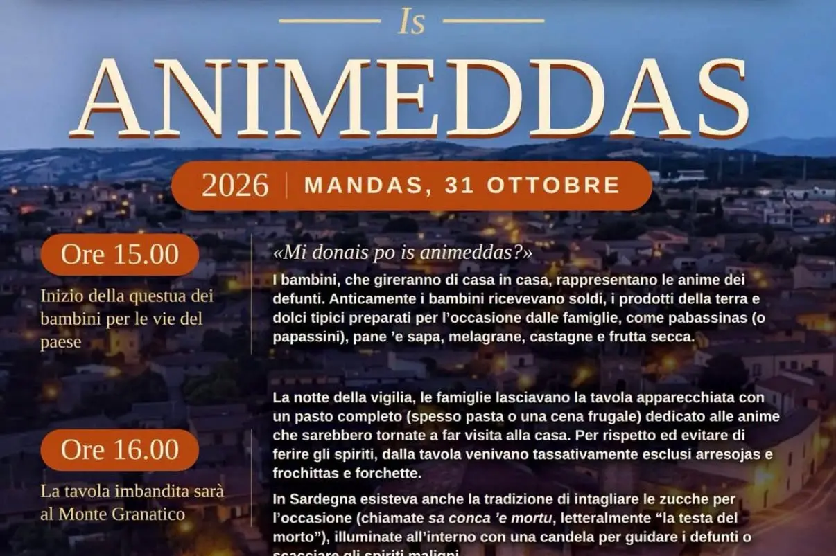 Is animeddas