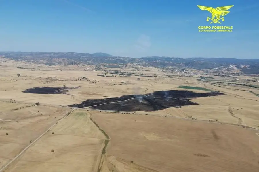 L'incendio nella zona di Ozieri (foto Corpo forestale)