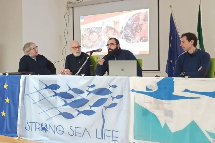 La presentazione nella sede del Parco Asinara (foto Pala)