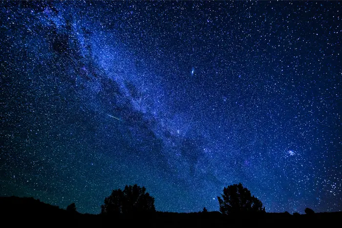 Stelle cadenti (foto Ansa)