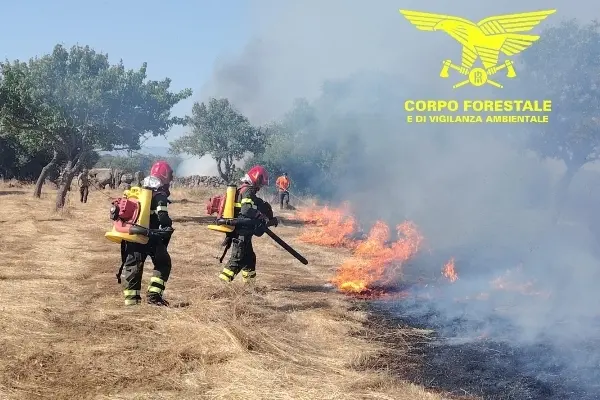 Incendio a Siapiccia