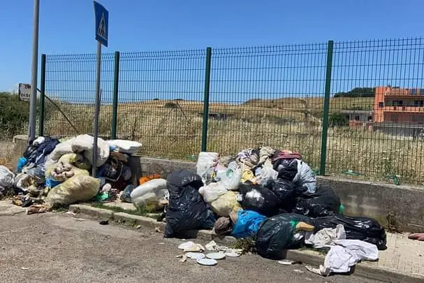 I rifiuti abbandonati (foto concessa dal sindaco)