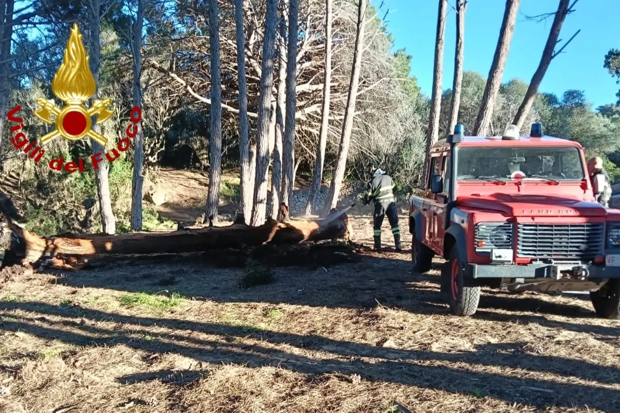 L'intervento dei vigili del fuoco a Caprera