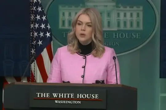 Casa Bianca: "Trump sta discutendo l'acquisto della Groenlandia"