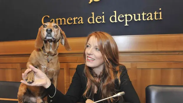 https://immagini.unionesarda.it/version/c:MWVmMTlkYjQtMjQzNi00:OWQ1YWVhMGUtZmZkOC00/image.webp?f=16:9