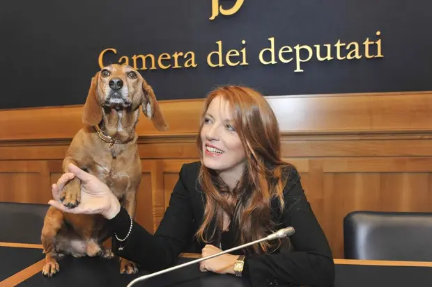 Michela Vittoria Brambilla (Ansa)
