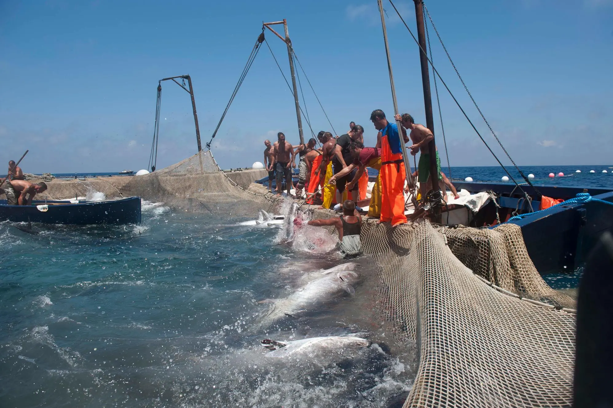 La pesca del tonno (foto L'Unione Sarda)