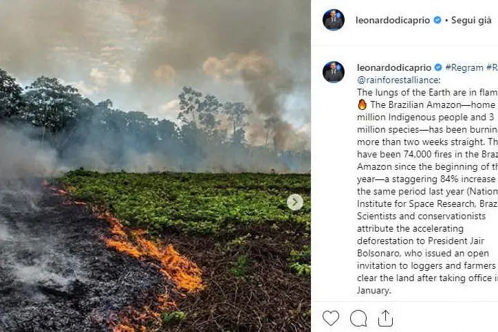 Disastro nella foresta amazzonica. Il post di Leonardo Di Caprio