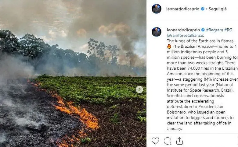Disastro nella foresta amazzonica. Il post di Leonardo Di Caprio