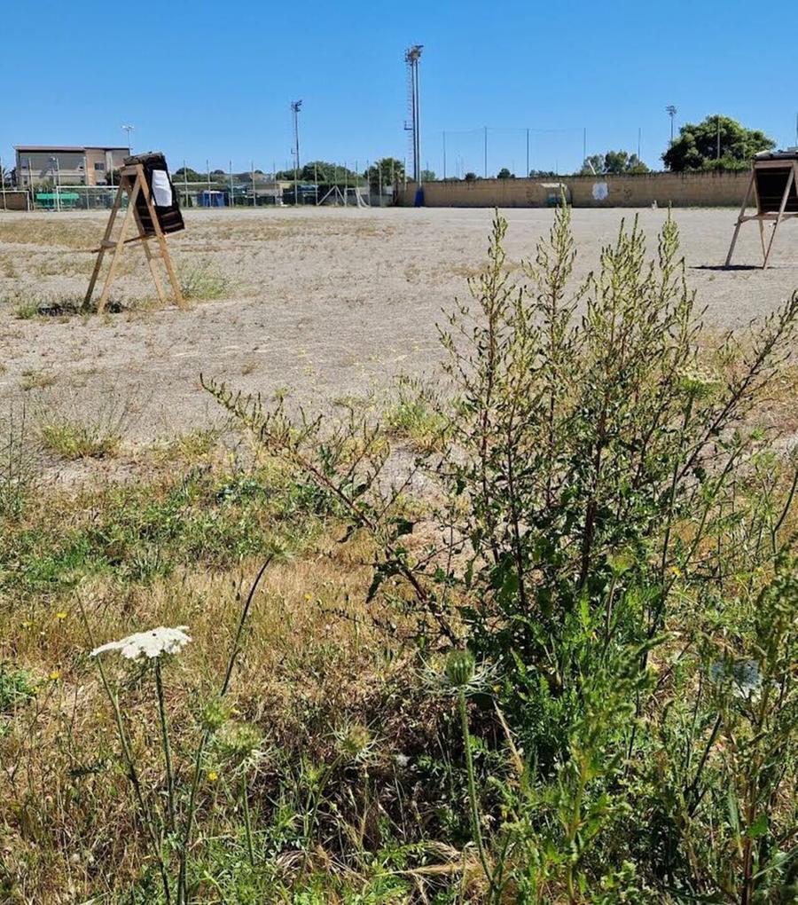 Il campo sportivo del Comparto 7 è in abbandono