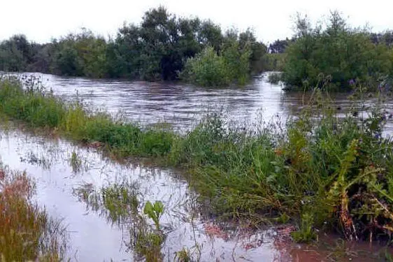 Il Flumini Mannu ad Arcidano (foto Sanna)