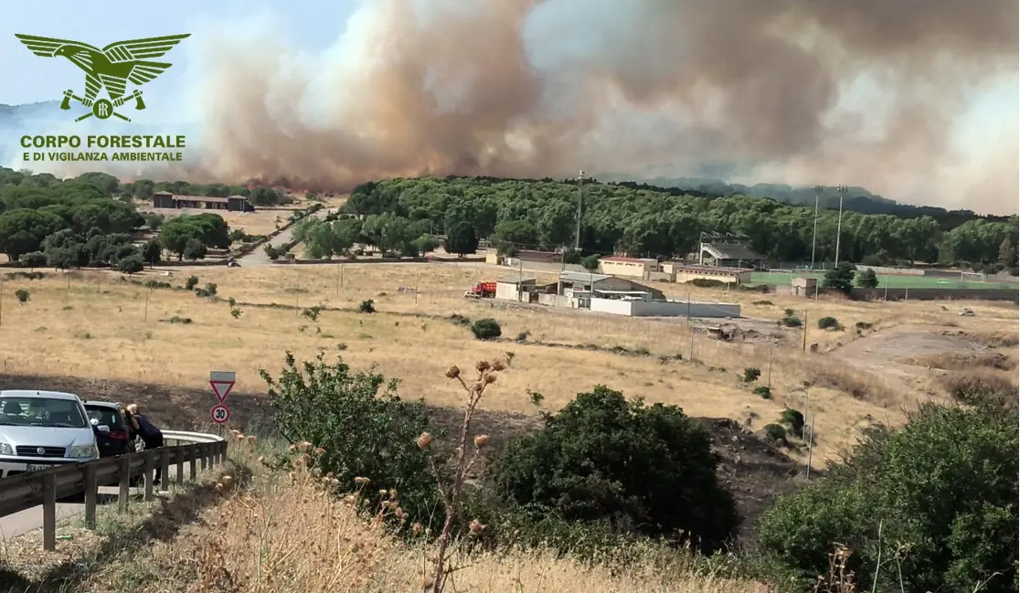 Incendio a Nurri (foto Cfva)