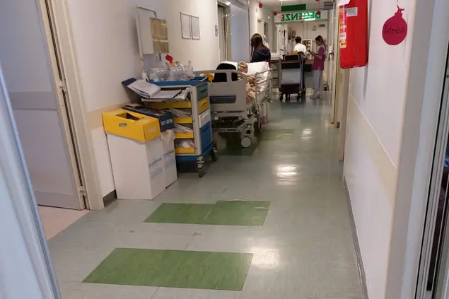 努奥罗医学系