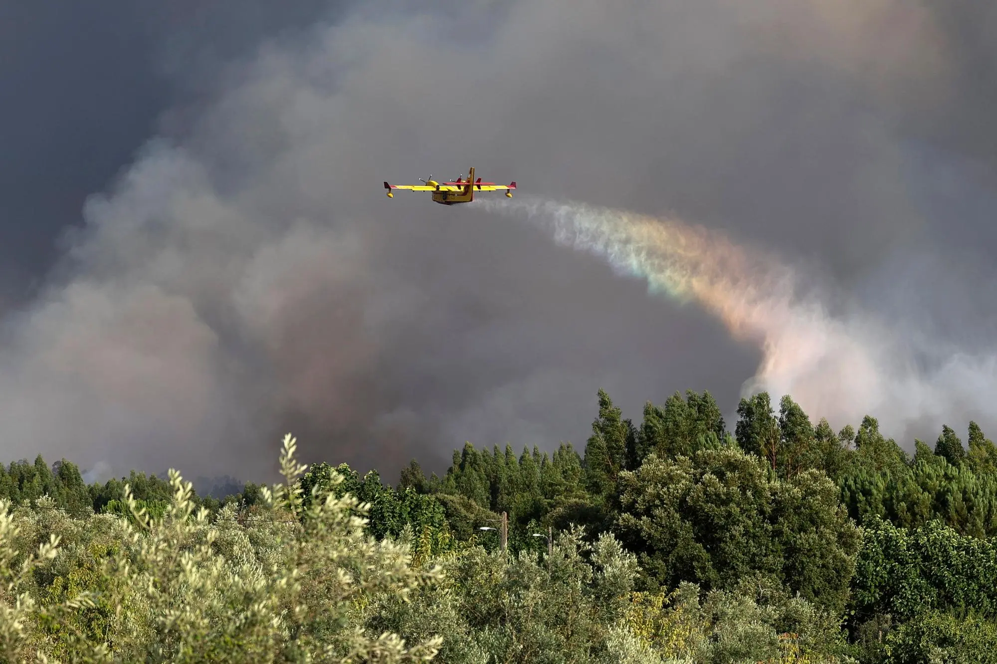 Canadair in azione (Foto simbolo)