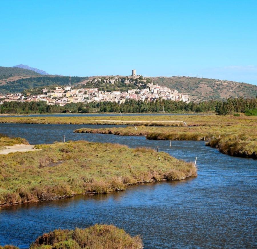 Foreste aperte: escursioni e laboratori