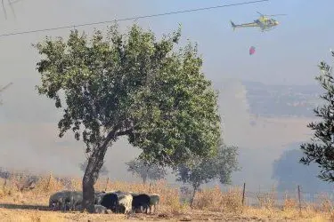 Un incendio nei giorni scorsi in Sardegna