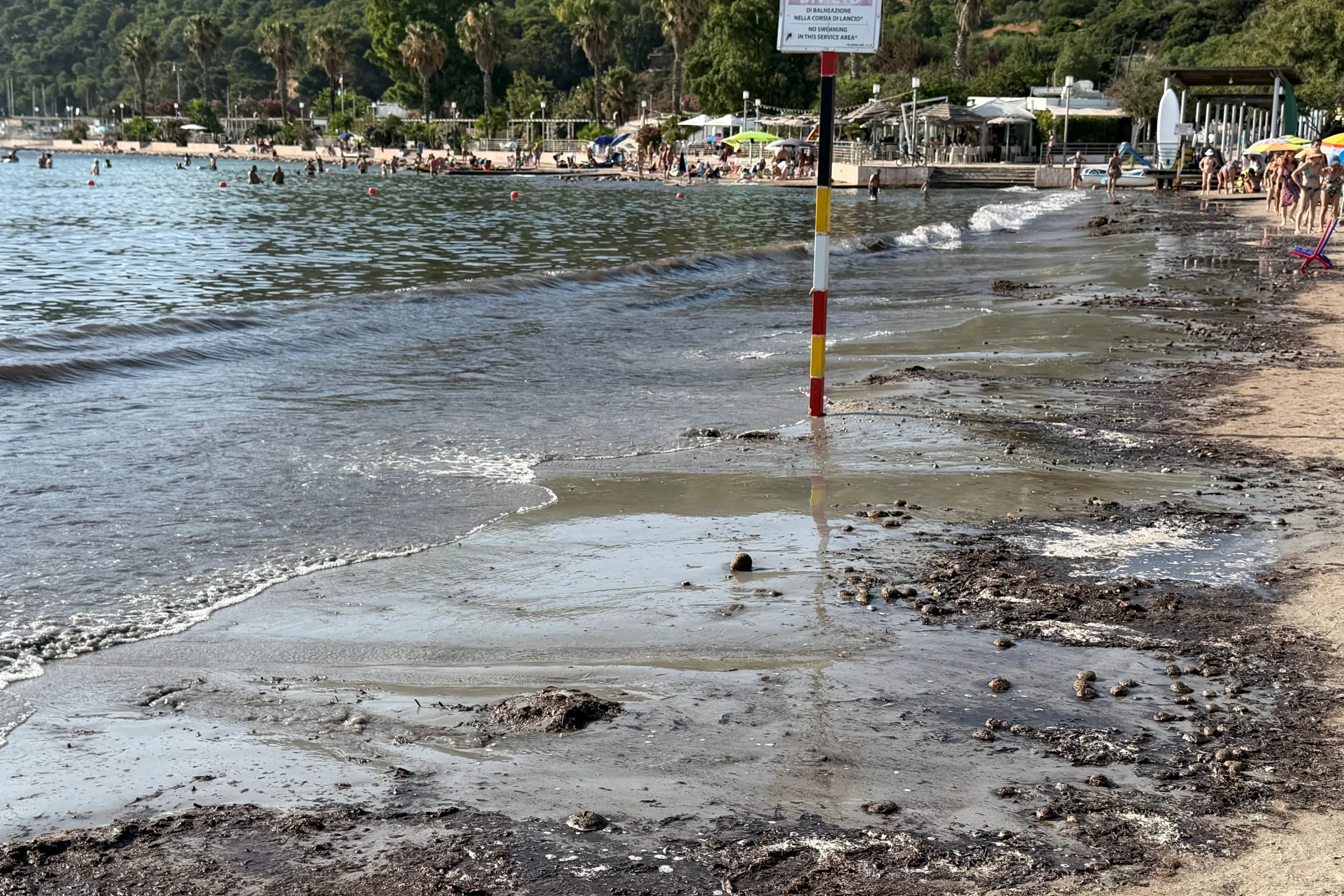 Poetto, i banchi di posidonia scatenano il malumore tra i bagnanti