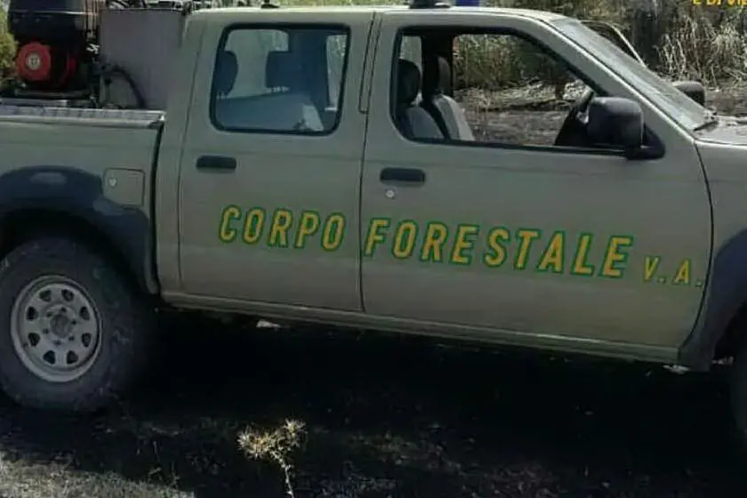 Immagine d'archivio (foto Corpo Forestale)