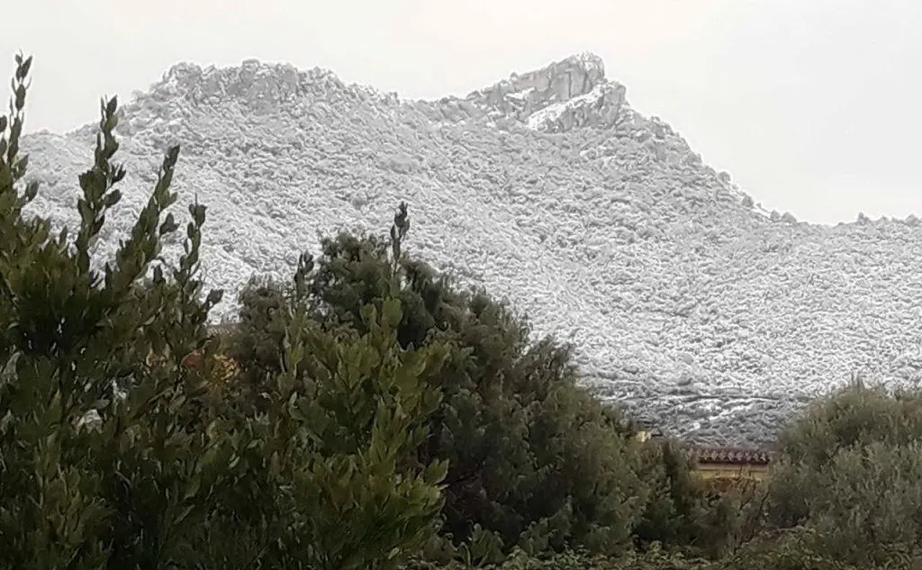 Fiocchi di neve anche a Torpè (foto di Bicio Chessa)